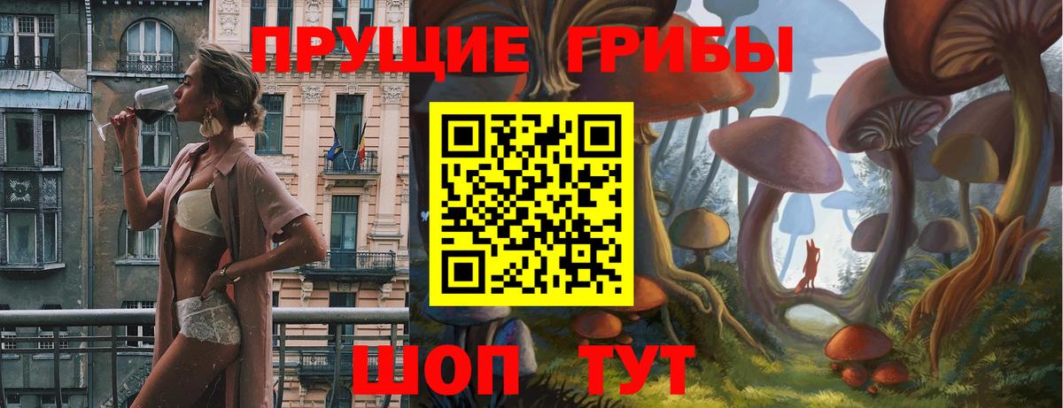 Псилоцибиновые грибы GOLDEN TEACHER Зеленодольск