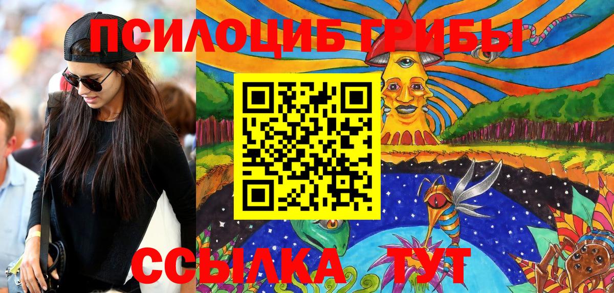 Псилоцибиновые грибы Psilocybe  Вход с VPN  Псилоцибиновые грибы мицелий  Зеленодольск 